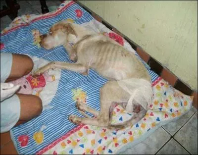 Ce mot, on peut l'attribuer  un repos bien ...