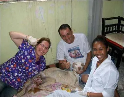 Quel autre mot que celui-ci pourrait convenir  cette photo !