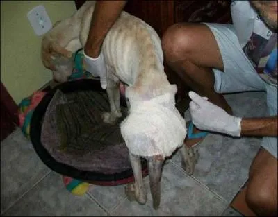 Terminez cette phrase : Etre entre de bonnes ...