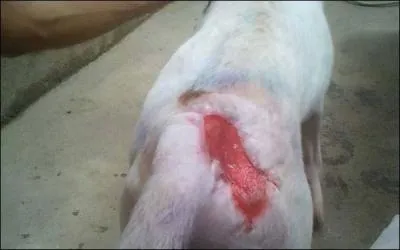 Trouvez ce mot, gnrateur d'espoir !