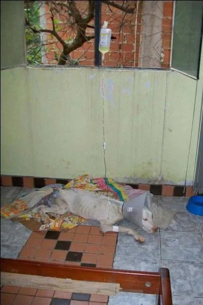 Terminez cette phrase, sa vie ne tient qu' un ...