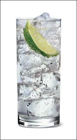 Que rajoute-t-on au gin pour obtenir un  gin tonic  ?