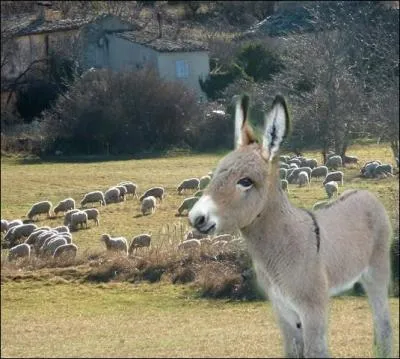 Au pays des santons, il se rendait utile auprs du cantonnier...