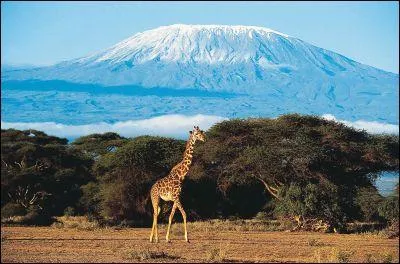 De quel pays s'agit-il ?