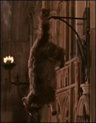 Ginny est-elle  l'origine de la ptrification des lves de Poudlard ?