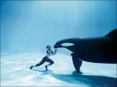 Que voyez-vous sur cette photo, réfléchissez bien avant de répondre ?