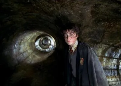 Harry Potter s'enfuit et se retrouve dans les tunnels de la Chambre des Secrets face  un basilic qui a perdu la vue aprs l'attaque. De quelle manire va-t-il russir  tromper l'oue du basilic et viter une rencontre fatale ?
