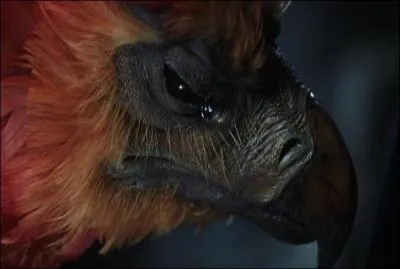 Dans la bataille, Harry Potter a t bless par un des crocs du basilic, dont le venin est mortel. Quel attribut, propre aux phnix, permet de sauver la vie  Harry Potter ?