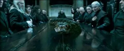 Par quel moyen, dcrit dans le deuxime pisode de la saga  Harry Potter , un sorcier peut-il avoir la possibilit d'entrer dans cette pice secrte de Poudlard ?