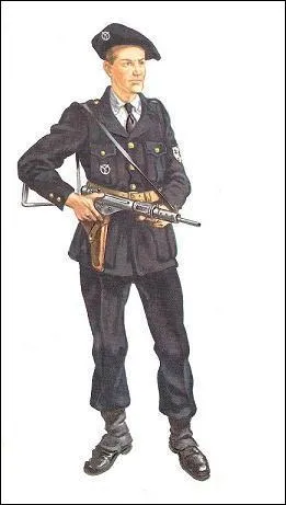 A quel groupe paramilitaire appartient cet uniforme ?