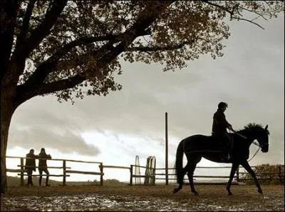 Je rvais de devenir cavalier de saut d'obstacles. Qui suis-je ?