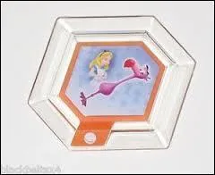 Comment s'appelle le Power Disc ? (Sur la photo)