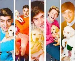 Qui est l'Irlandais dans le groupe One Direction ?