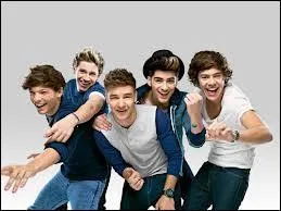 Les fans des One direction sont appels :