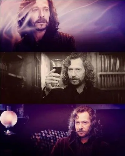 Combien de temps Sirius Black a-t-il t enferm  Azkaban ?