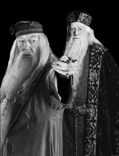 Lorsqu'il tait jeune, sur quel horrible got tait tomb Dumbledore en mangeant une drage surprise de Berthie Crochue ?