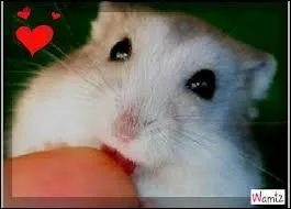 Comment s'appelle le concierge ?