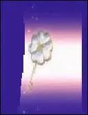 A qui appartient la cl du coeur ?