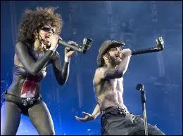 Le groupe franais d'lectro-rock Shaka Ponk a fait une reprise de  Kids In America . Qui est l'interprte original de cette chanson ?