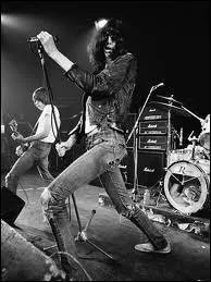Joey Ramone a fait une reprise nergique de la chanson  What A Wonderful World . A qui appartient ce titre mondialement connu ?
