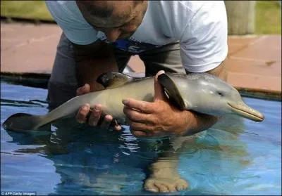 Trouvez le mot manquant : je suis l'dauphin d'la place ... ..... et la place Blanche a mauvaise mine !