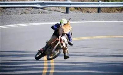 Trouvez le titre de la chanson, agrandissez bien l'image !