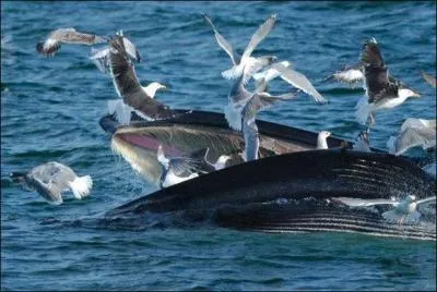 Trouvez le titre du film !