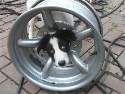 Cette fois-ci, trouvez le proverbe ou la citation !