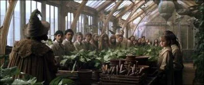 En deuxime anne, lors du cours de botanique, de quel quipement les lves doivent-ils se munir afin de rempoter des plantes appeles mandragores ?