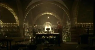 Les cours de potions comprennent une partie thorique et une partie pratique. En sixime anne Horace Slughorn occupe le poste de professeur. Quelle potion est considre comme tant le plus puissant philtre d'amour ?