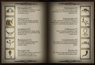Ds la troisime anne, les sorciers doivent choisir en option deux matires supplmentaires. L'tude des runes anciennes en fait partie. Mais qu'est-ce qu'une rune ?