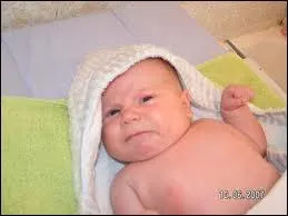 Petite plante, dont le fruit ressemble  un oeuf !