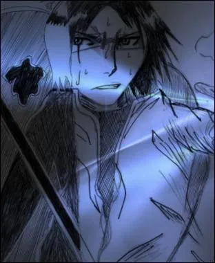 Il s'agit ici d'un manga de Tite Kubo :