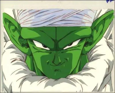 Dans  Dragon Ball Z , le cyborg Piccolo a dcid de fusionner avec Nail pour augmenter ses forces.