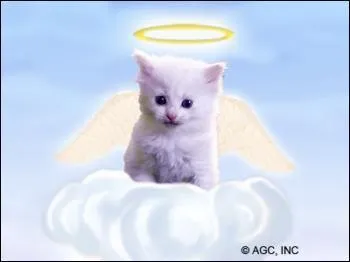 Comment s'appellent les profs ?