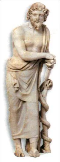 Pour Homre, Asclpios est originaire de Thessalie. C'est un bon mdecin, pre de deux fils, Machaon et Podalire,  qui il transmet son art et qui vont l'exercer pendant la guerre de Troie. Assez rapidement, la lgende s'empare d'Asclpios et le transforme en fils d'Apollon et d'une princesse thessalienne, Coronis. Selon Homre, qui tait-il ?