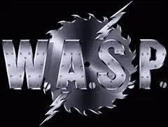 A qui le groupe de mtal amricain W. A. S. P. a-t-il emprunt le morceau  Paint it black  ?
