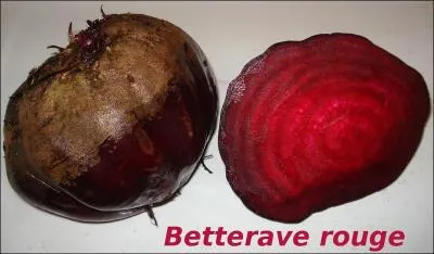 Parmi ces trois types de betteraves, l'une n'existe pas, laquelle ?