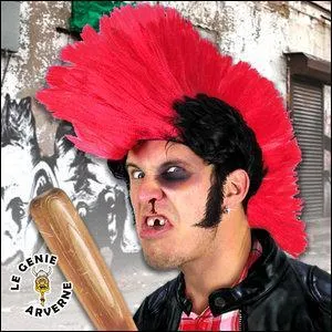 Que signifie l'expression :  s'allumer le crte  ?