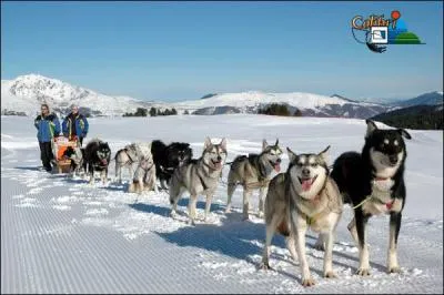 Quelles qualits doivent-ils avoir ?