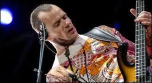 Dans quel film apparat   Flea  , bassiste des Red Hot Chili Peppers ?