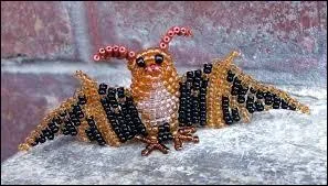 Quel est cet animal ?