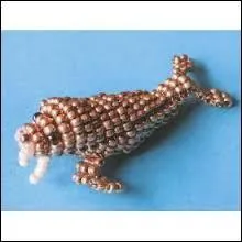 Quel est cet animal ?