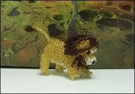 Quel est cet animal ?