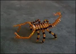 Quel est cet animal ?