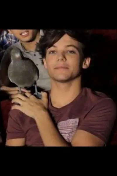 Comment s'appelle le pigeon 'adoptif' de Louis ?