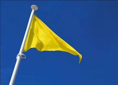 Le drapeau jaune sur la plage signifie :