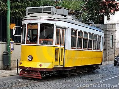 La  ligne jaune  est une ligne de mtro de Lisbonne appele  Linha Amarela . Elle est galement appele  Linha do Girassol . Que signifie cette seconde appellation ?