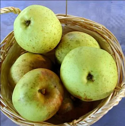 La  belle fleur jaune  est un fruit apprci pour sa longue dure de conservation. De quelle varit de fruits s'agit-il ?
