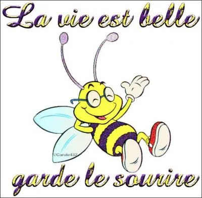 Et si vous n'aimez pas l'illustration prcdente, qu'avez-vous perdu ?